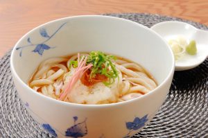 Hot Udon