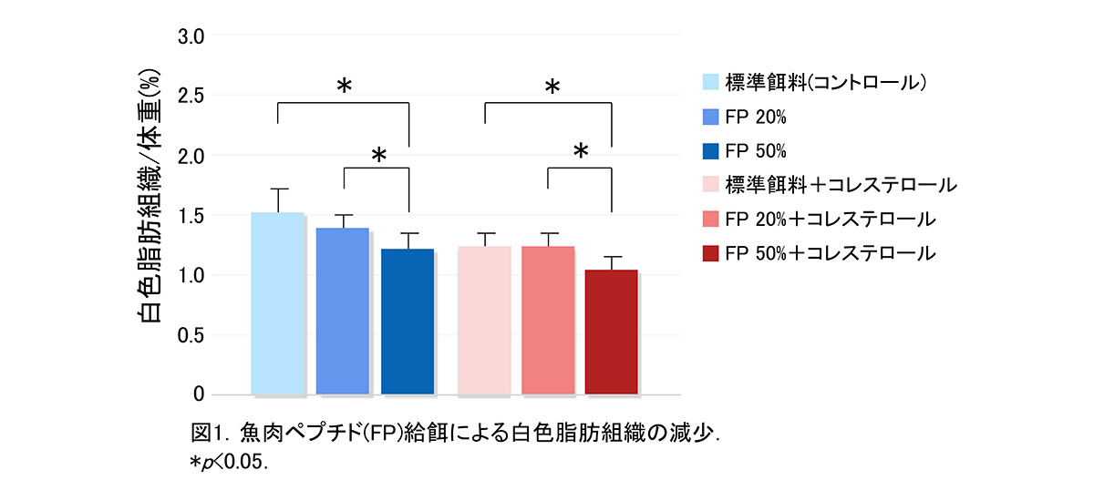 脂肪燃焼促進図1