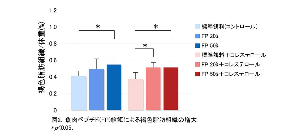 脂肪燃焼促進図2