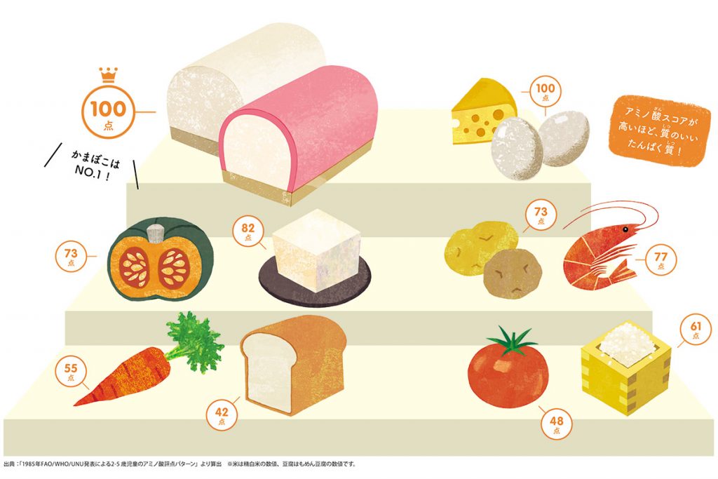 良質なタンパク質とは。含まれる食材や1日に必要なタンパク質量、摂取する方法