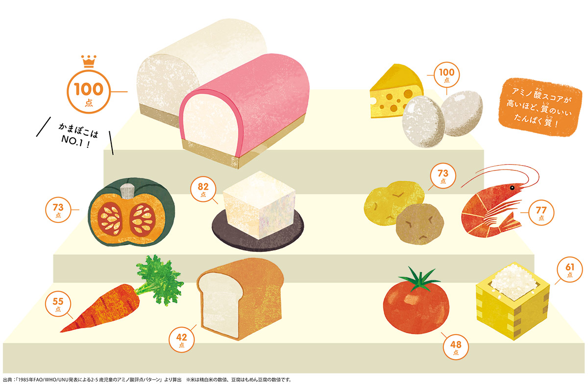 良質なタンパク質とは。含まれる食材や1日に必要なタンパク質量、摂取