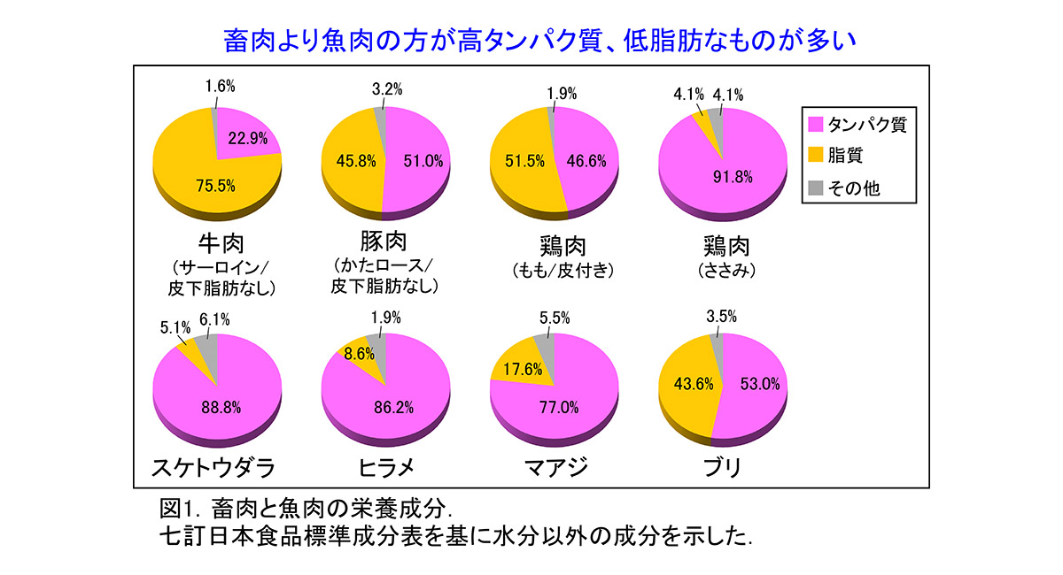 畜肉と魚肉の栄養成分