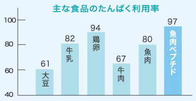 【たんぱく質講座】魚肉ペプチドのタンパク質利用率が９７％の理由　正味タンパク質利…