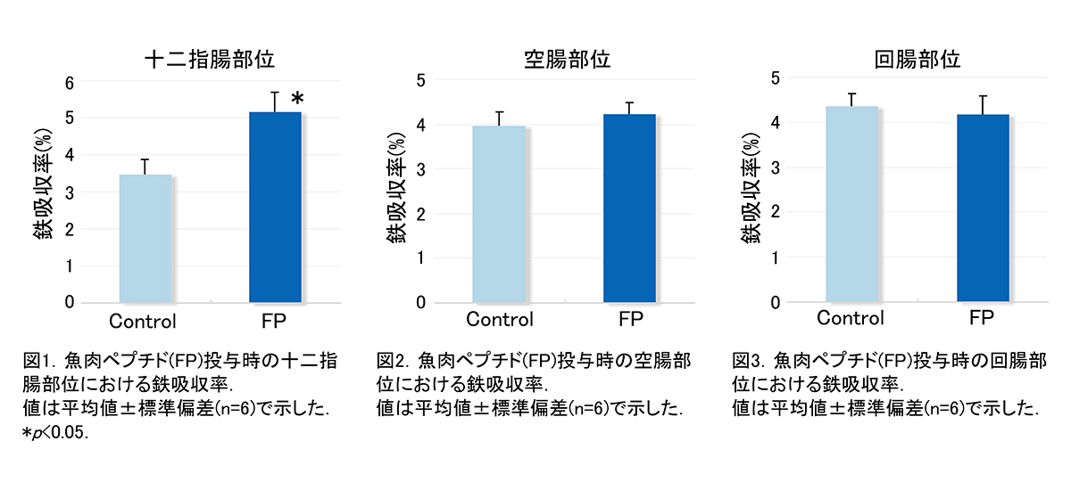 鉄代謝column10-1