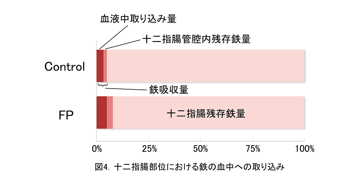 鉄代謝column10-2