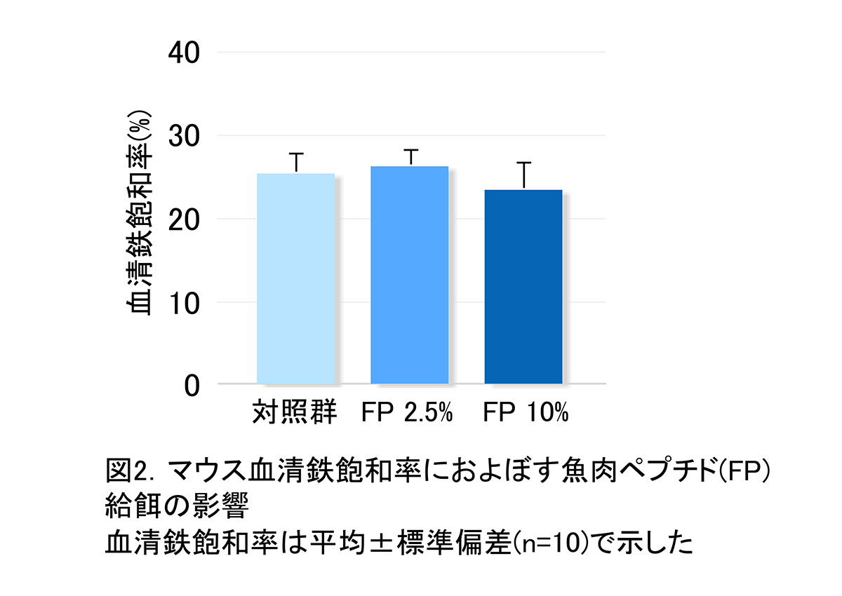 鉄代謝　図2