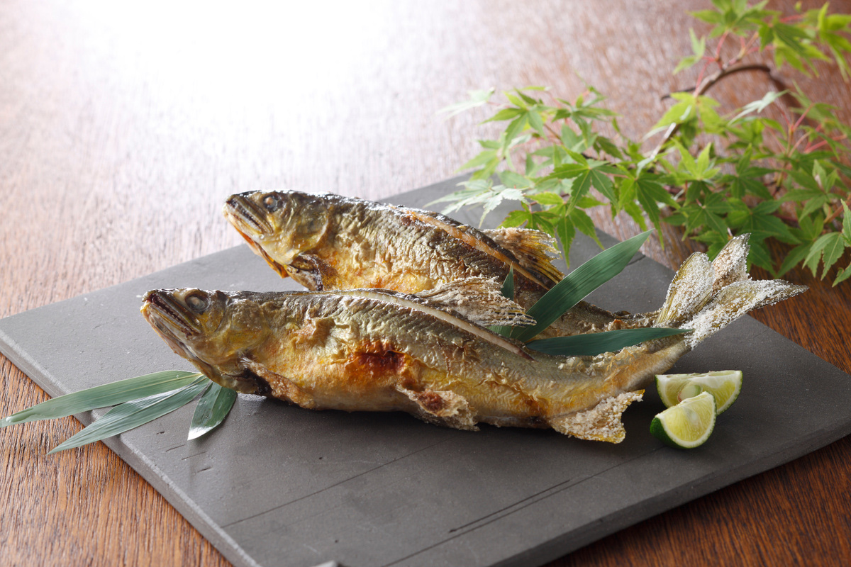 夏に旬の美味しい魚8選!栄養たっぷり&人気の魚介を食べて夏バテを予防しよう