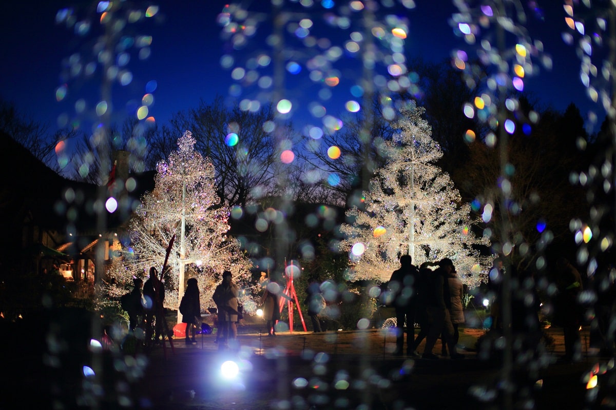 クリスタル・ガラスのクリスマスツリー