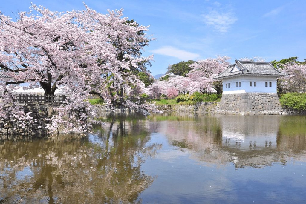 第29回　小田原かまぼこ桜まつり