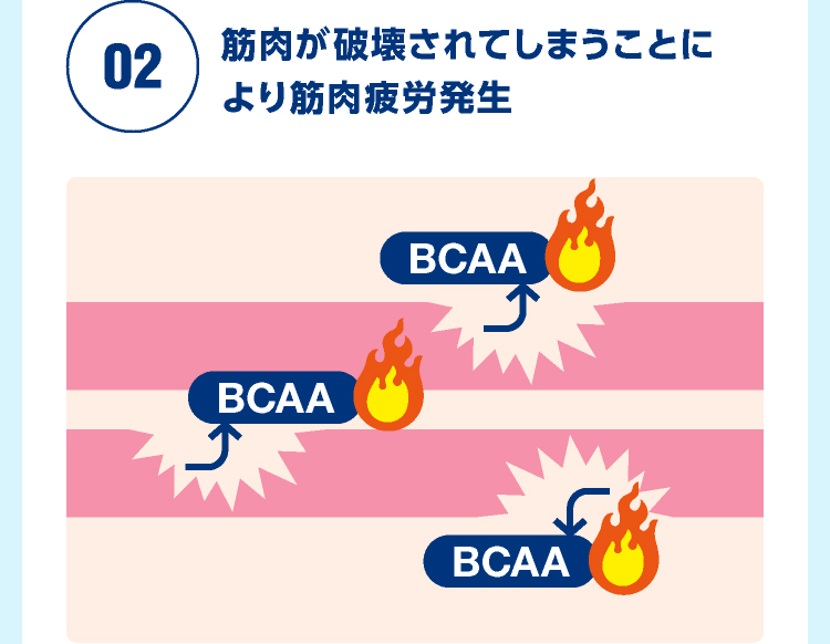 02筋肉が破壊されてしまうことにより筋肉疲労発生