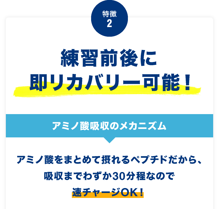 特徴2 練習前後に即リカバリー可能！アミノ酸吸収のメカニズムアミノ酸をまとめて摂れるペプチドだから、吸収までわずか30分程なので速チャージOK！