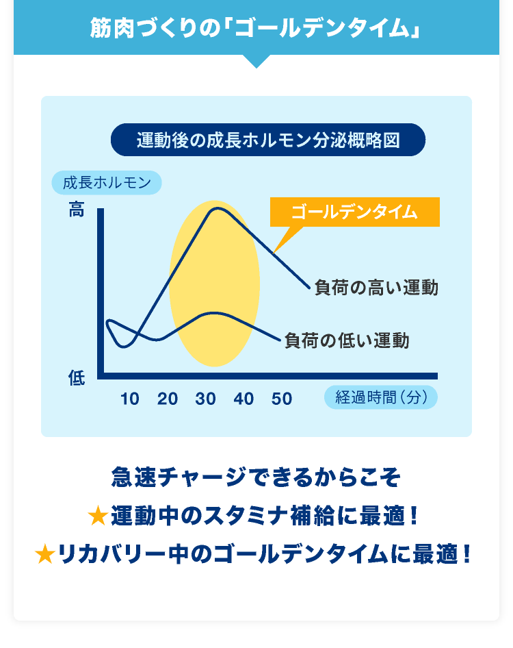 筋肉づくりの「ゴールデンタイム」 急速チャージできるからこそ ★運動中のスタミナ補給に最適！ ★リカバリー中のゴールデンタイムに最適！