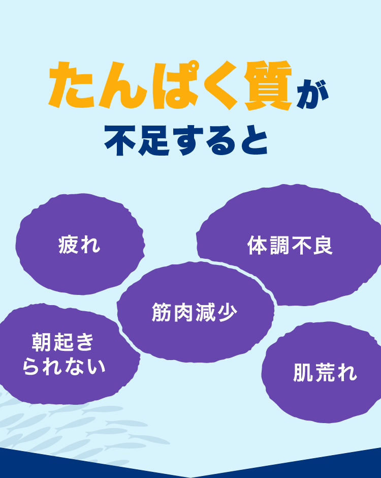 たんぱく質が不足すると 疲れ 体調不良 筋肉減少 朝起きられない 肌荒れ