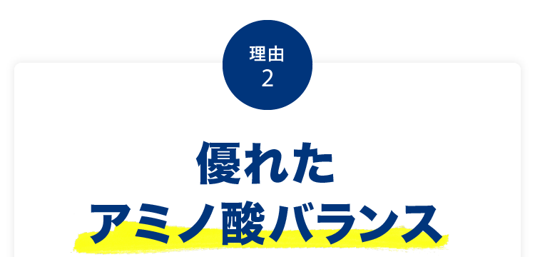 理由2 優れたアミノ酸バランス