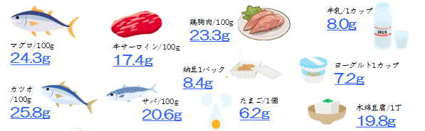 一 日 に 必要 な タンパク質