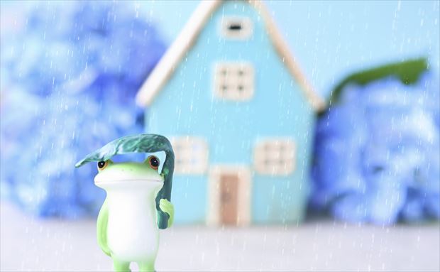 女性の6割が体調不良 梅雨だる の原因と対策 サカナのちから コラム