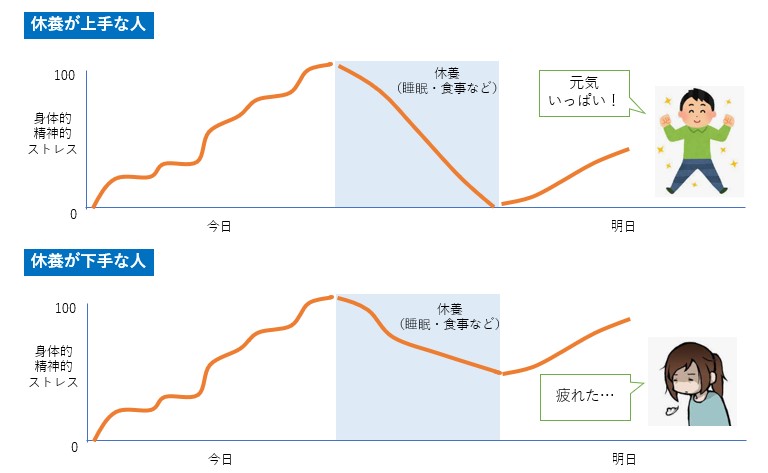 疲れにくい身体になるために！休養（睡眠・運動・栄養など）上手になろう | 魚肉ペプチドLab