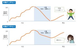 疲れにくい身体になるために！休養（睡眠・運動・栄養など）上手になろう | 魚肉ペプチドLab