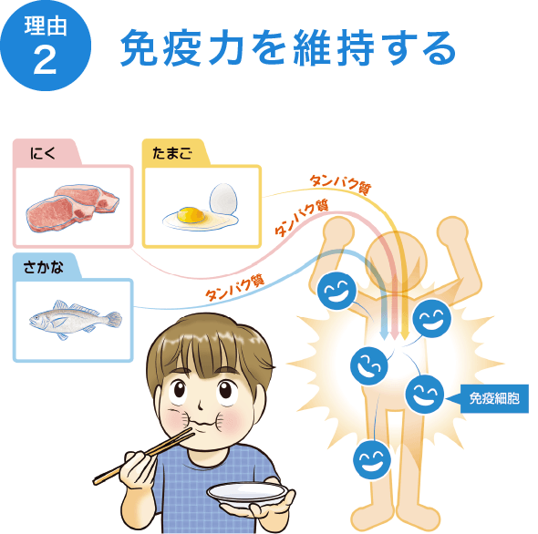 免疫力を維持する