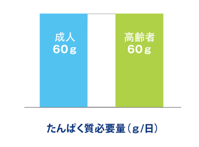 たんぱく質必要量(g/日)